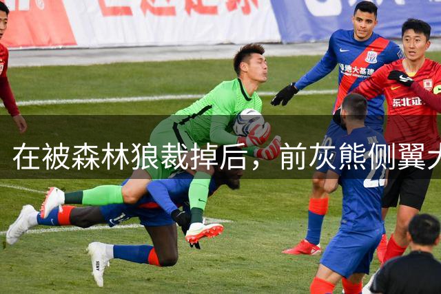 在被森林狼裁掉后，前灰熊侧翼大将或成为热火第15人的重点目标？